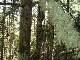 photo coins arrondis